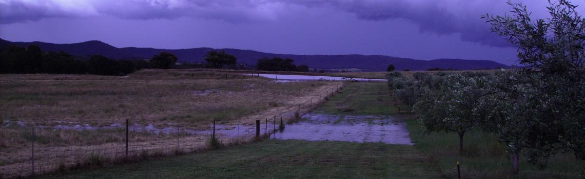 2011 The Grove in Flood
